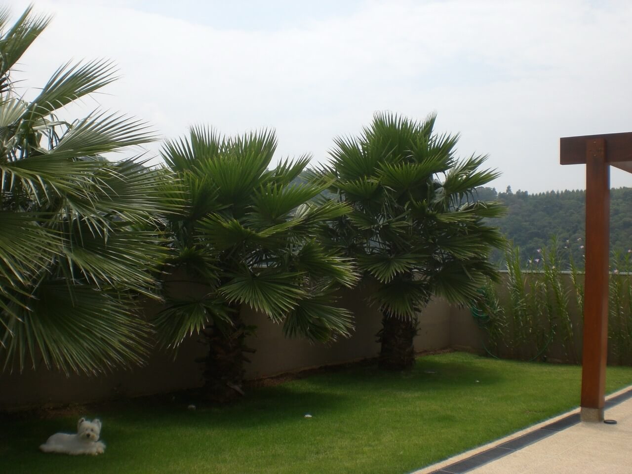 Casa Genesis 2 Alphaville — Foto 10