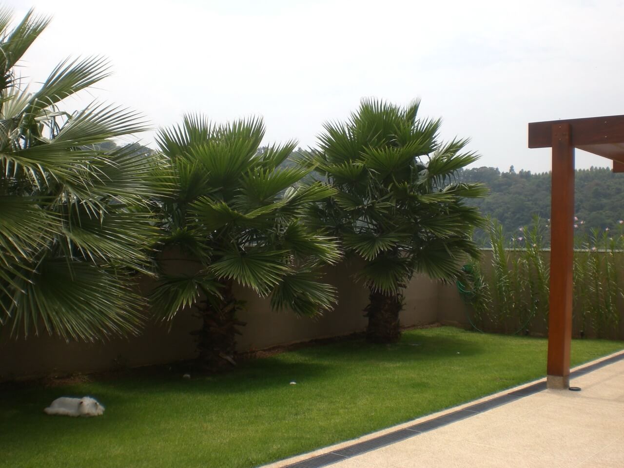 Casa Genesis 2 Alphaville — Foto 12